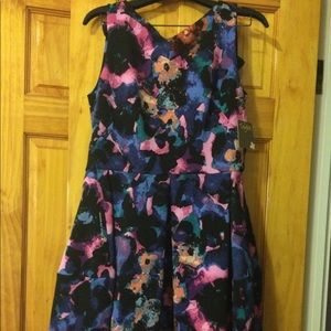 TAYLOR NWT fit and flare mini dress